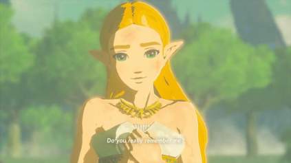 Zelda and Memory